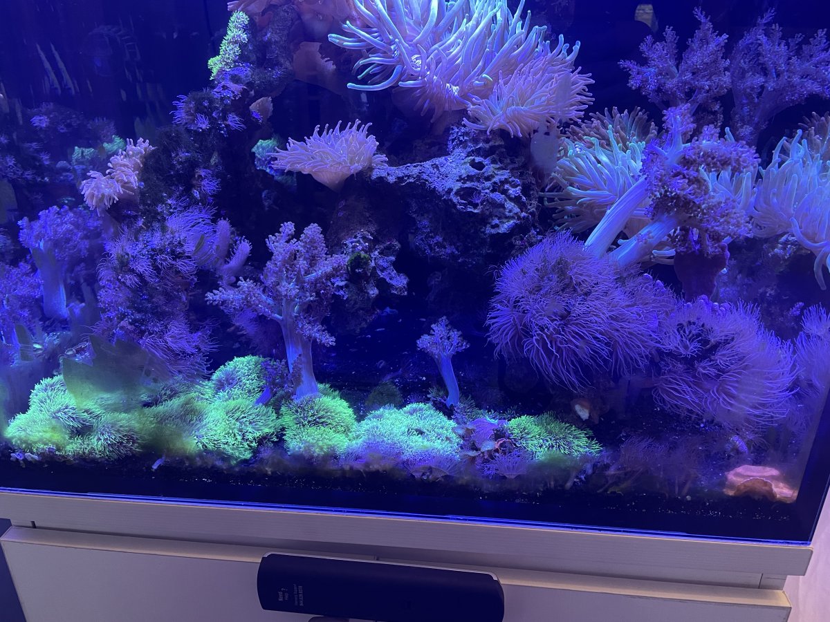 IMG_7183.jpeg