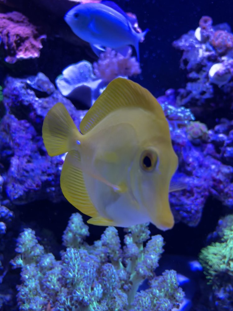 IMG_7810.jpeg