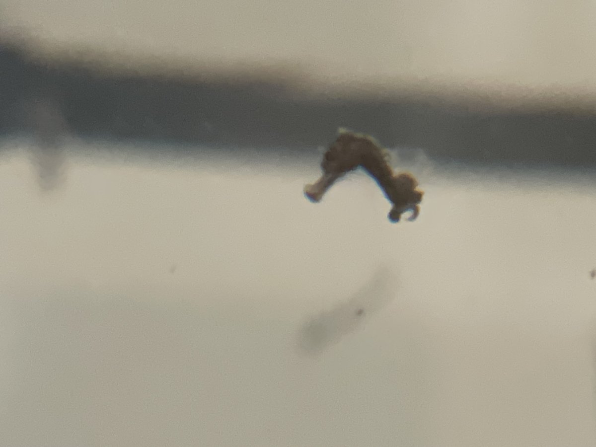 IMG_7953.jpeg