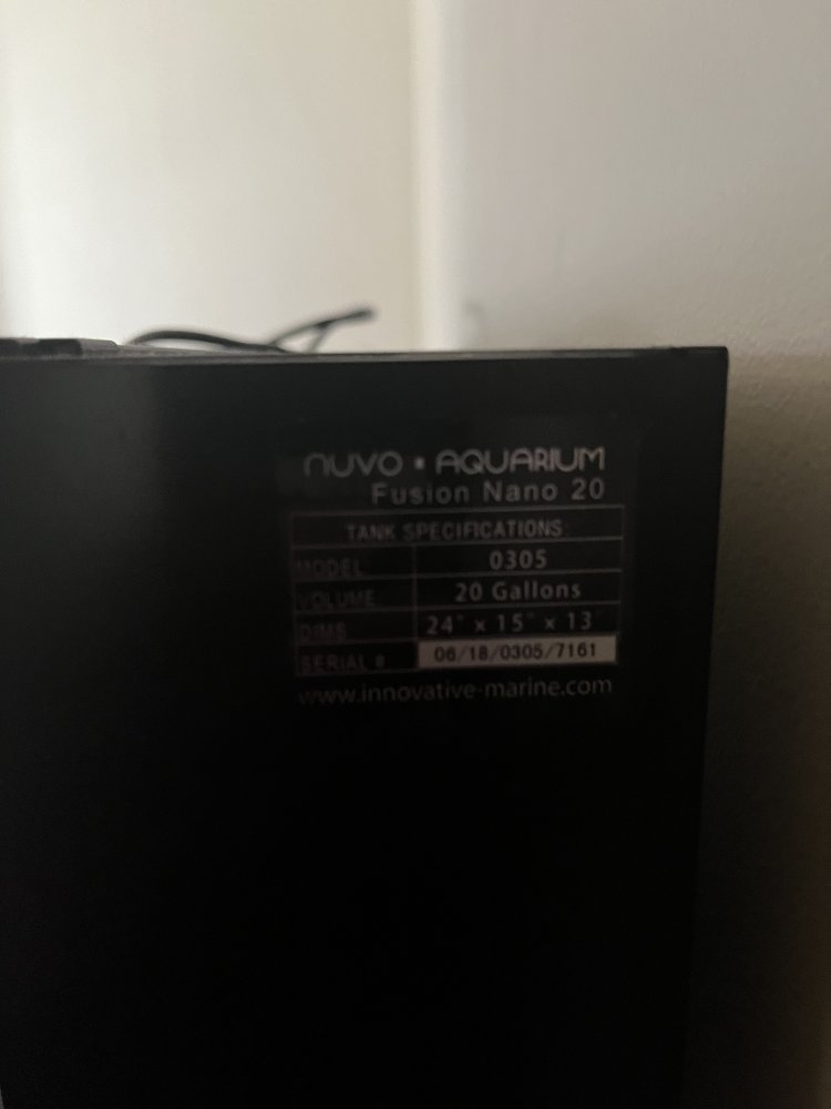 IMG_7958.jpeg