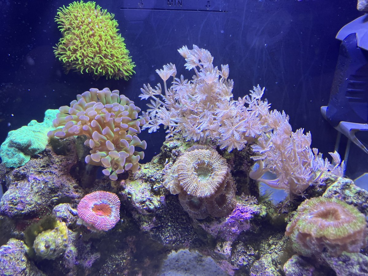 IMG_8224.JPEG