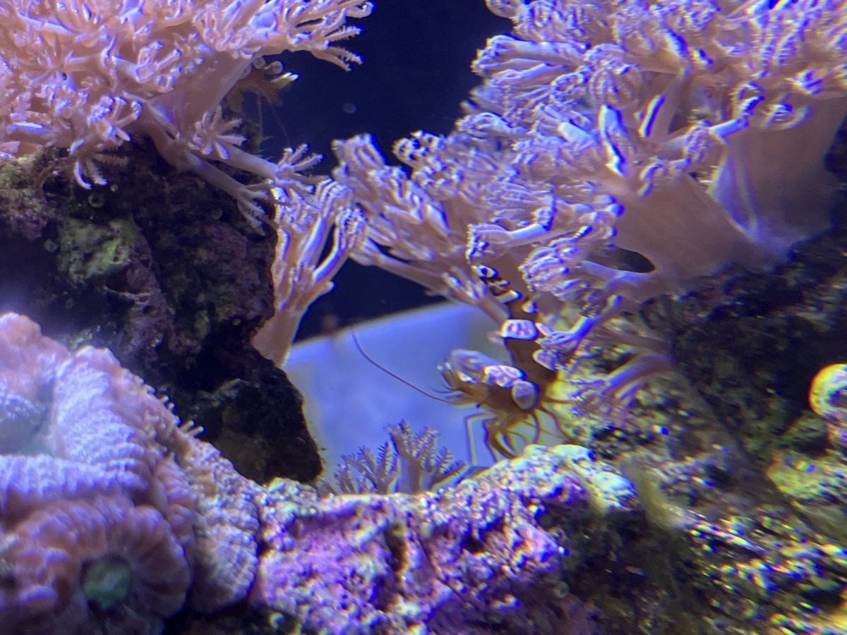 IMG_8555.jpeg