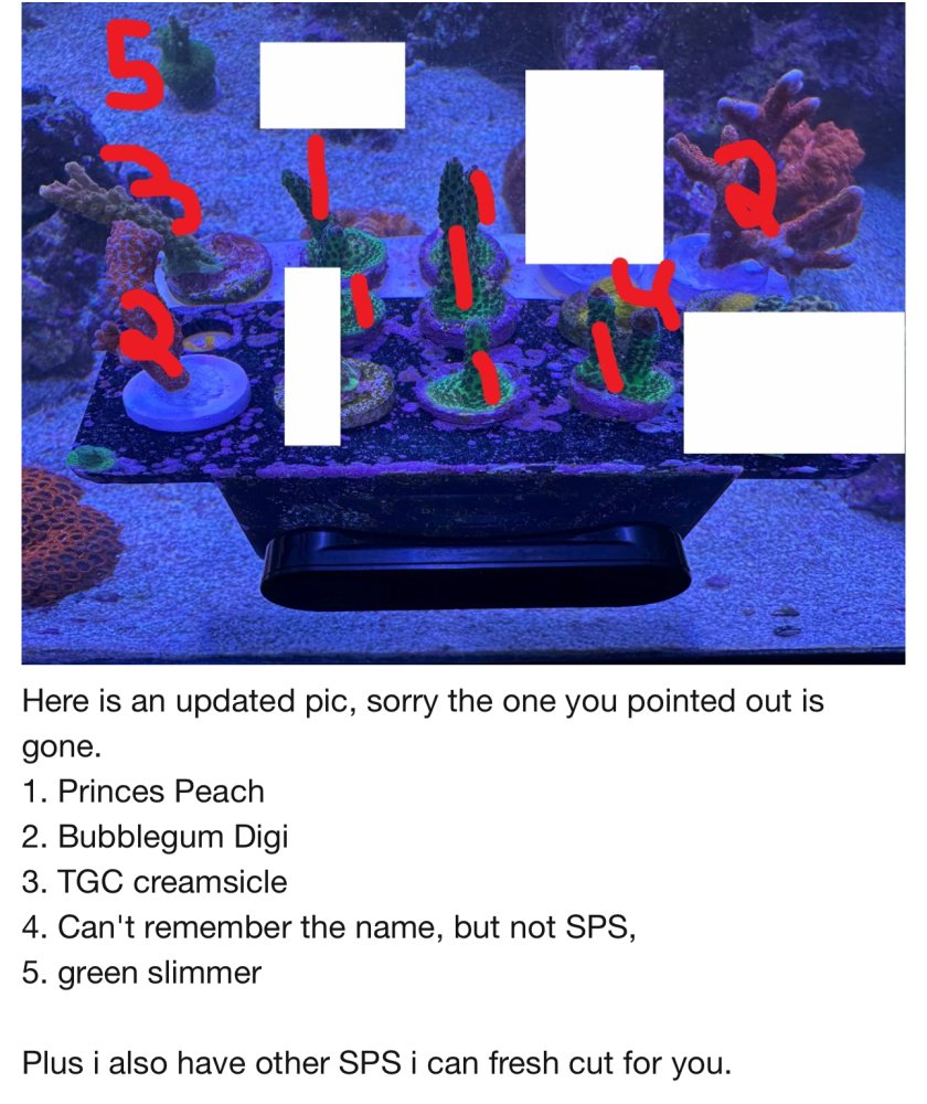 IMG_8960.jpeg