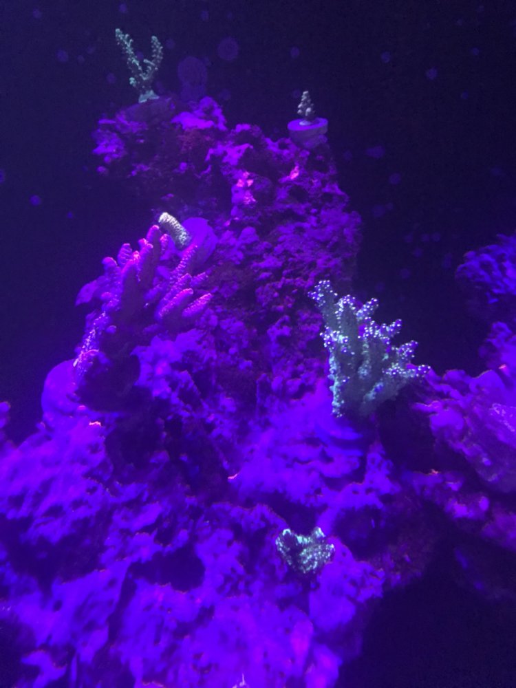 IMG_8965.JPG