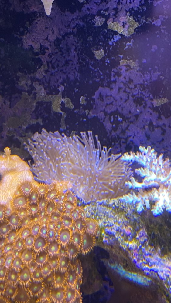 IMG_8986.jpeg