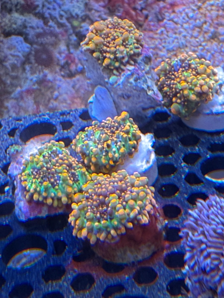 IMG_9187.jpeg
