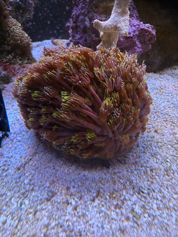 IMG_9194.jpeg