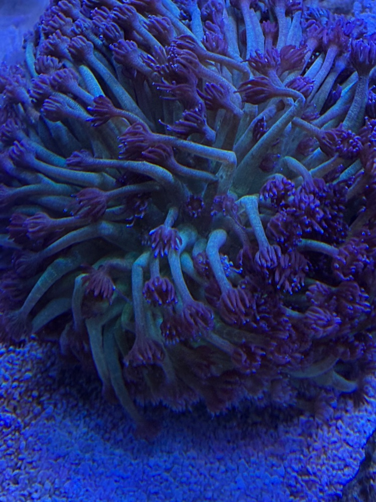 IMG_9208.jpeg
