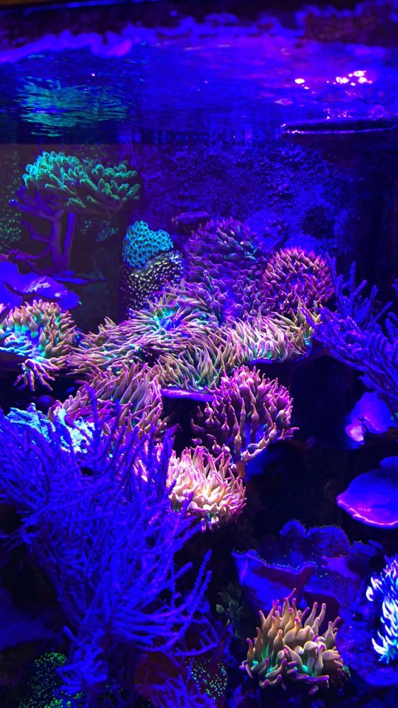 IMG_9341.jpeg