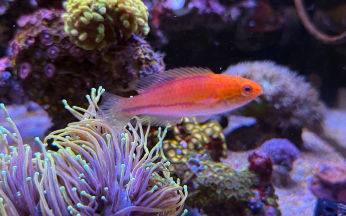 IMG_9349.jpeg