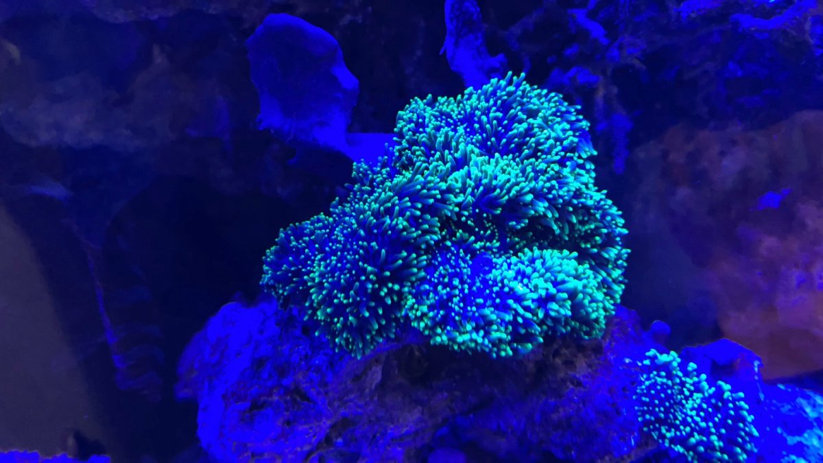 IMG_9534.jpeg