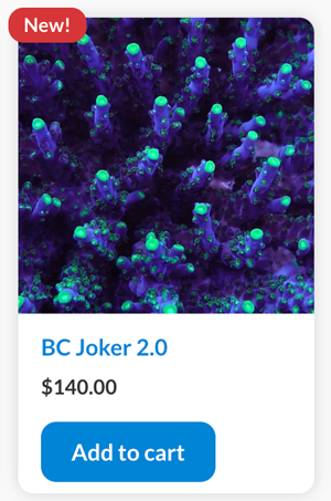 joker.png