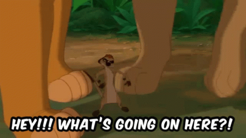 lion-king-timon.gif