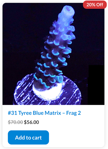 matrix.jpg