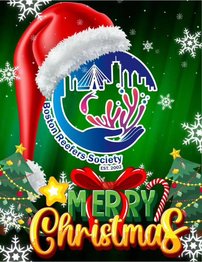 MerryChristmas23.JPG