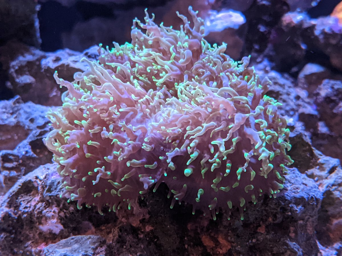 MrX-January2021-Photocontest.jpg