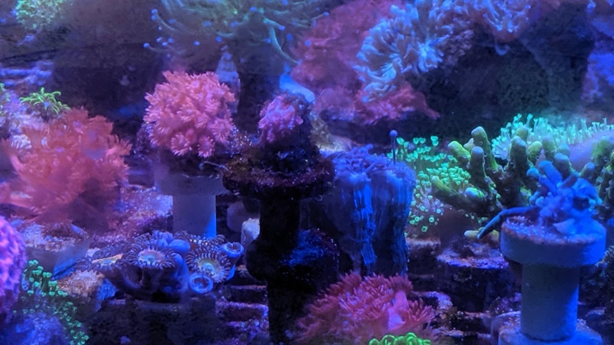 MVIMG_20190721_115824.jpg
