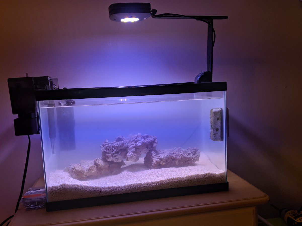 NemTank.jpg