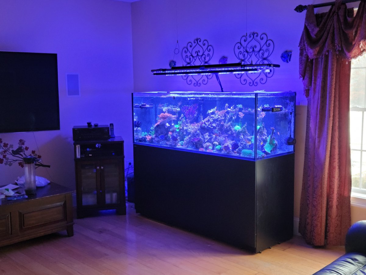 new tank 2.jpeg