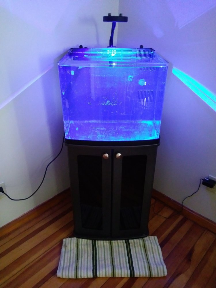 new tank.jpg