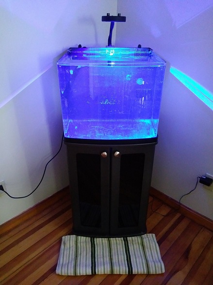 new tank.jpg