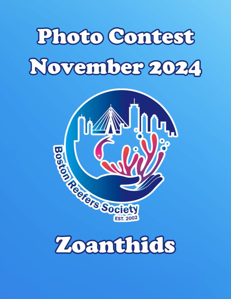 Nov Photo.jpg