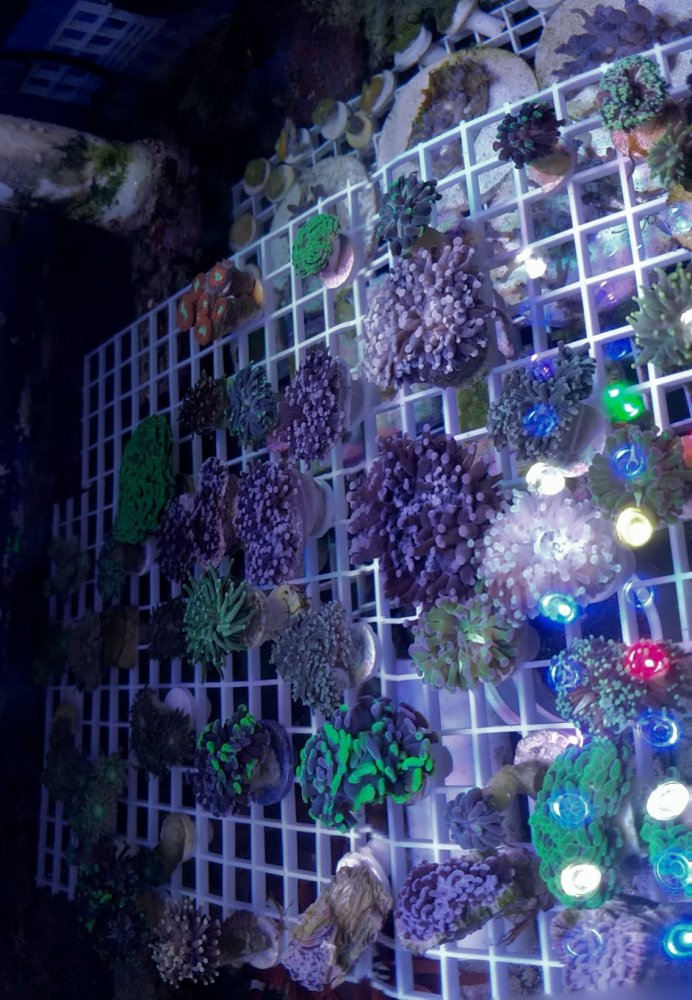 PANO_20190921_080622.vr.jpg