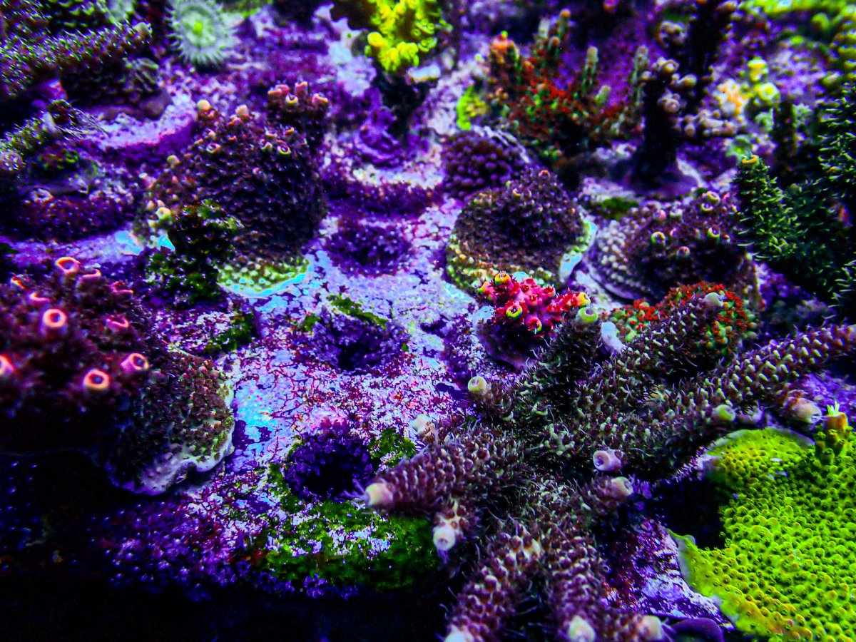 PB234078-164.JPG