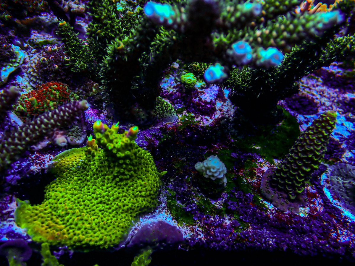 PB234079-165.JPG