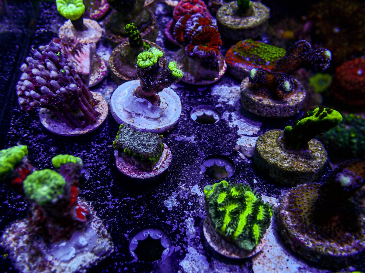 PB234153-238.JPG