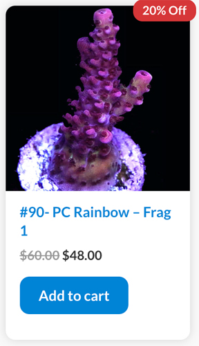 PC.jpg