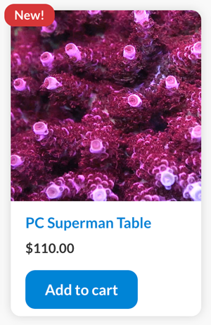 PC Superman.png