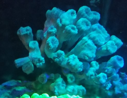 Picture2.jpg