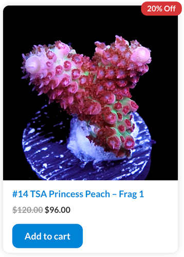 princess.jpg