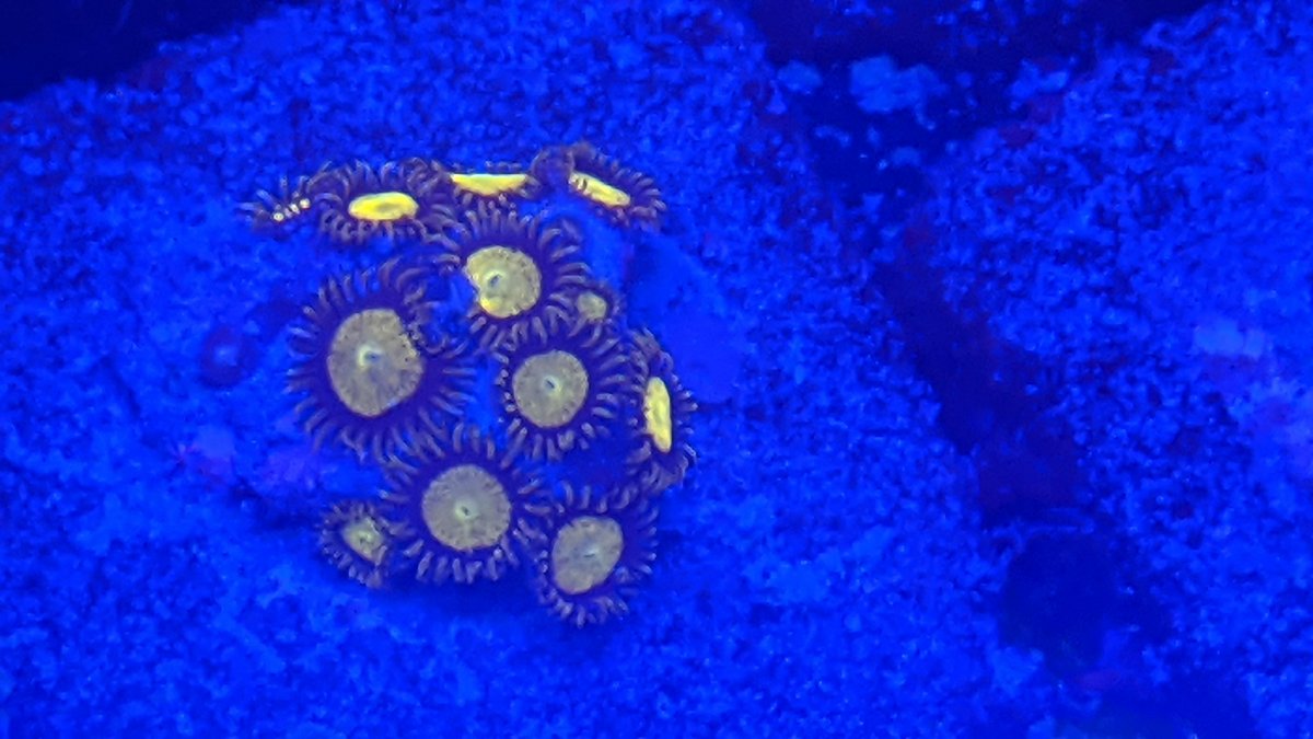 PXL_20201201_222843497.jpg