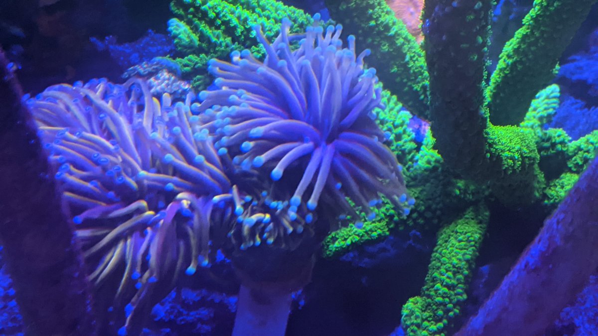 PXL_20201209_221036496.jpg