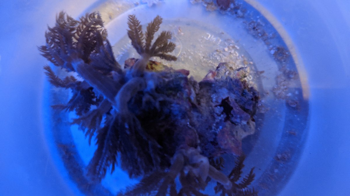 PXL_20201227_212352312.jpg