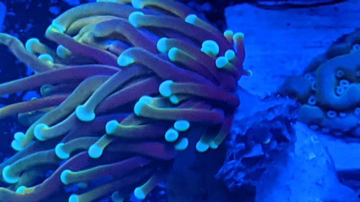 PXL_20210129_203548557.jpg