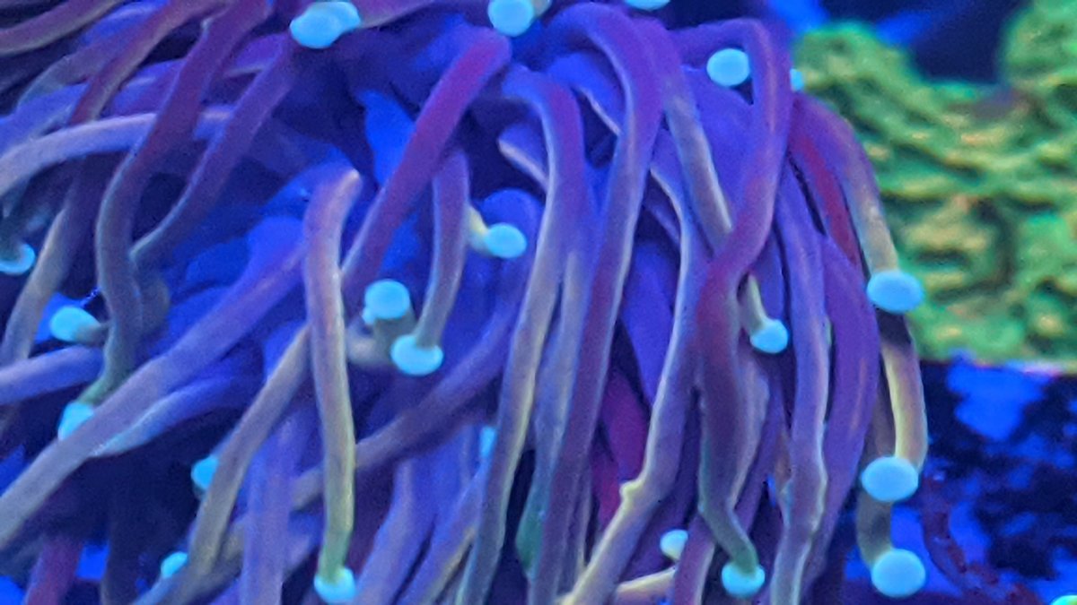 PXL_20210129_203554883.jpg