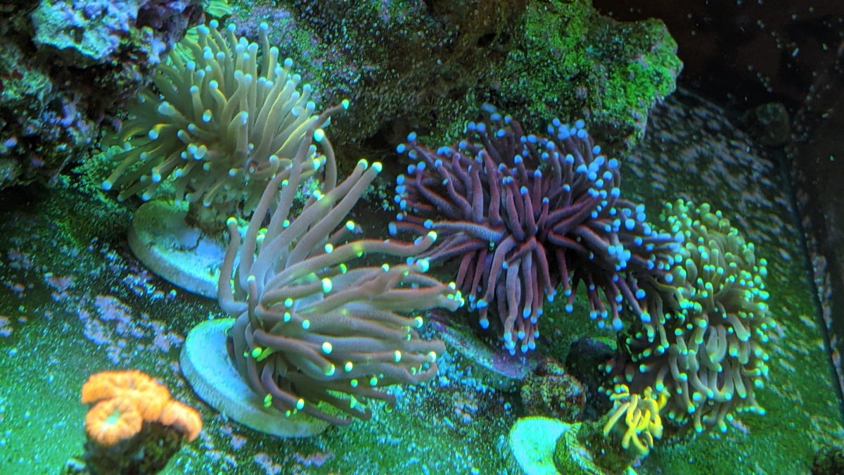 PXL_20210315_182857625.jpg