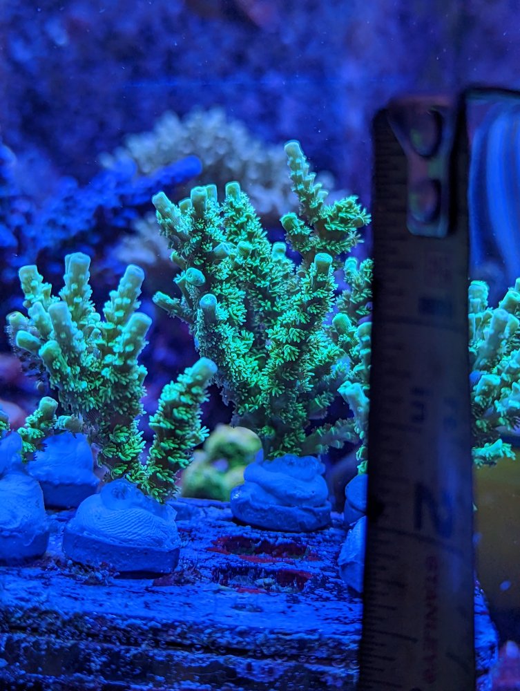 PXL_20230104_201834214.jpg
