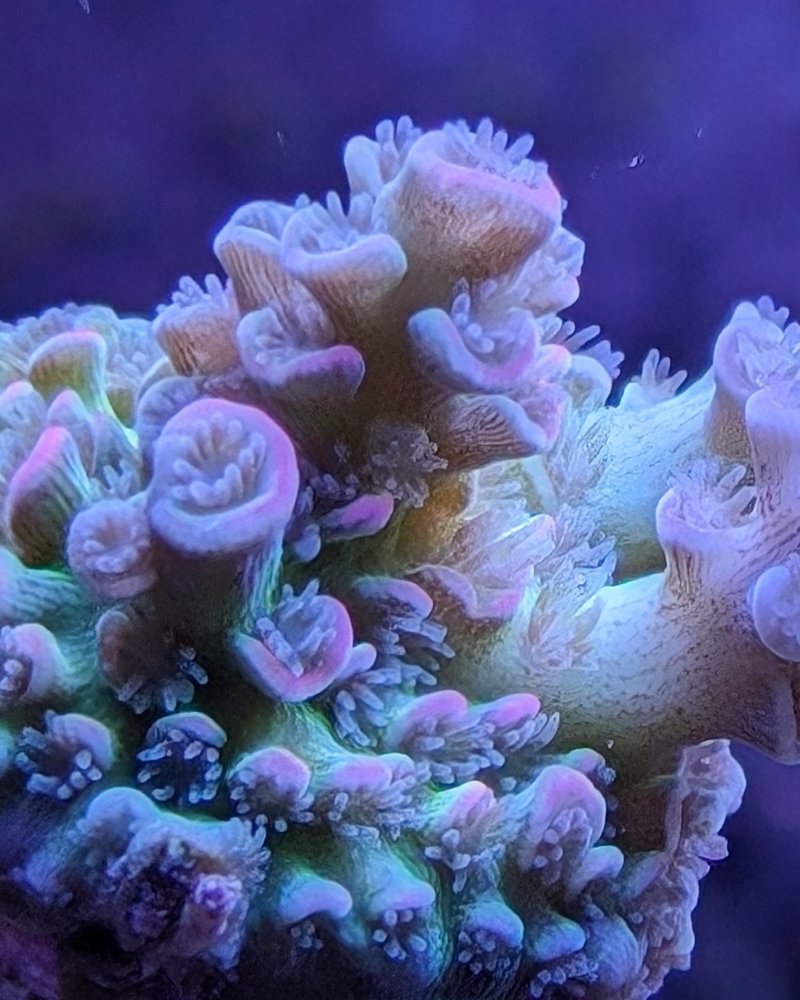 PXL_20231016_235733526.MP~2.jpg