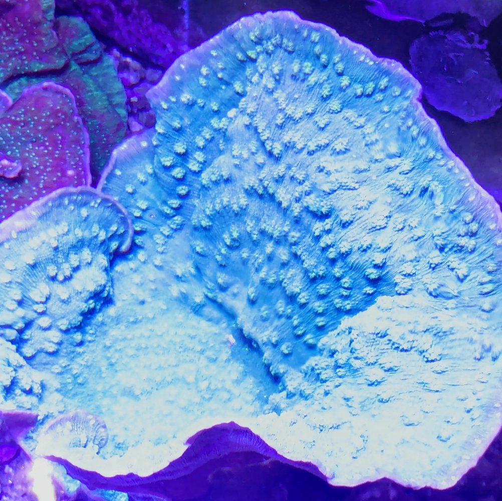 PXL_20240410_163726288.jpg