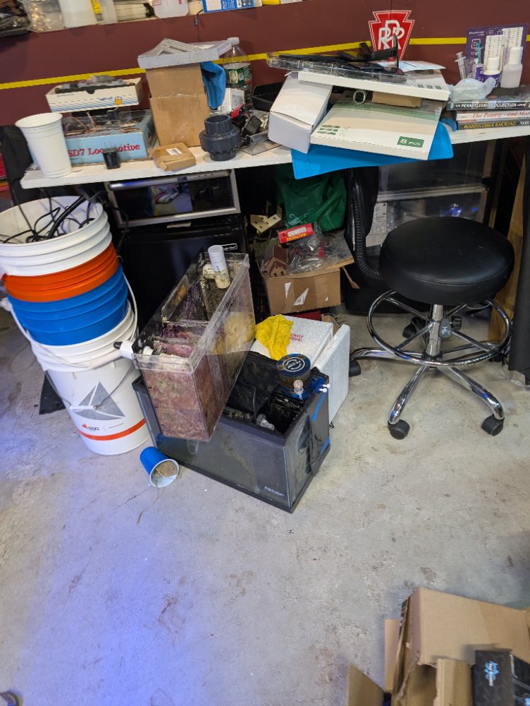 PXL_20250131_225954644.jpg