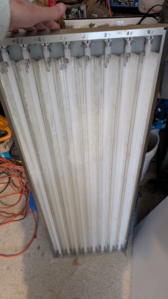 PXL_20250227_190043513.RAW-01.COVER.jpg