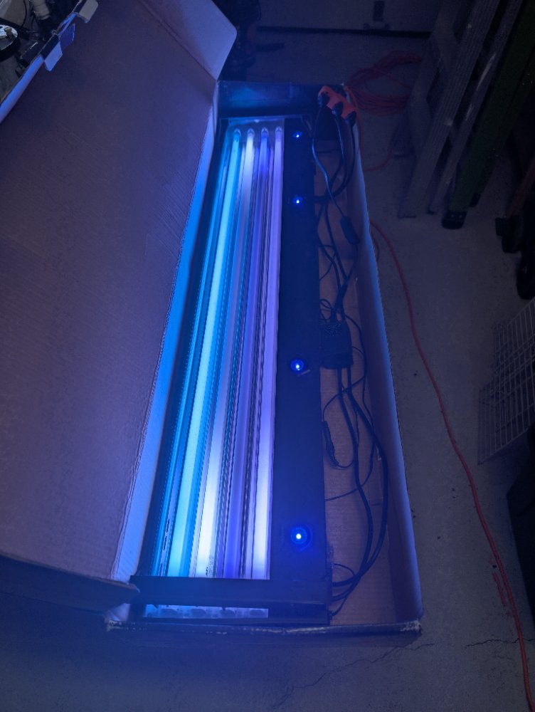 PXL_20250430_142933489.RAW-01.COVER.jpg