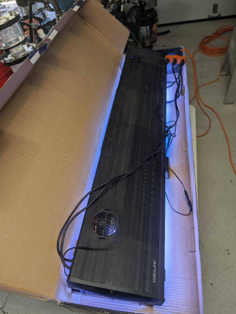 PXL_20250430_143009947.RAW-01.COVER.jpg