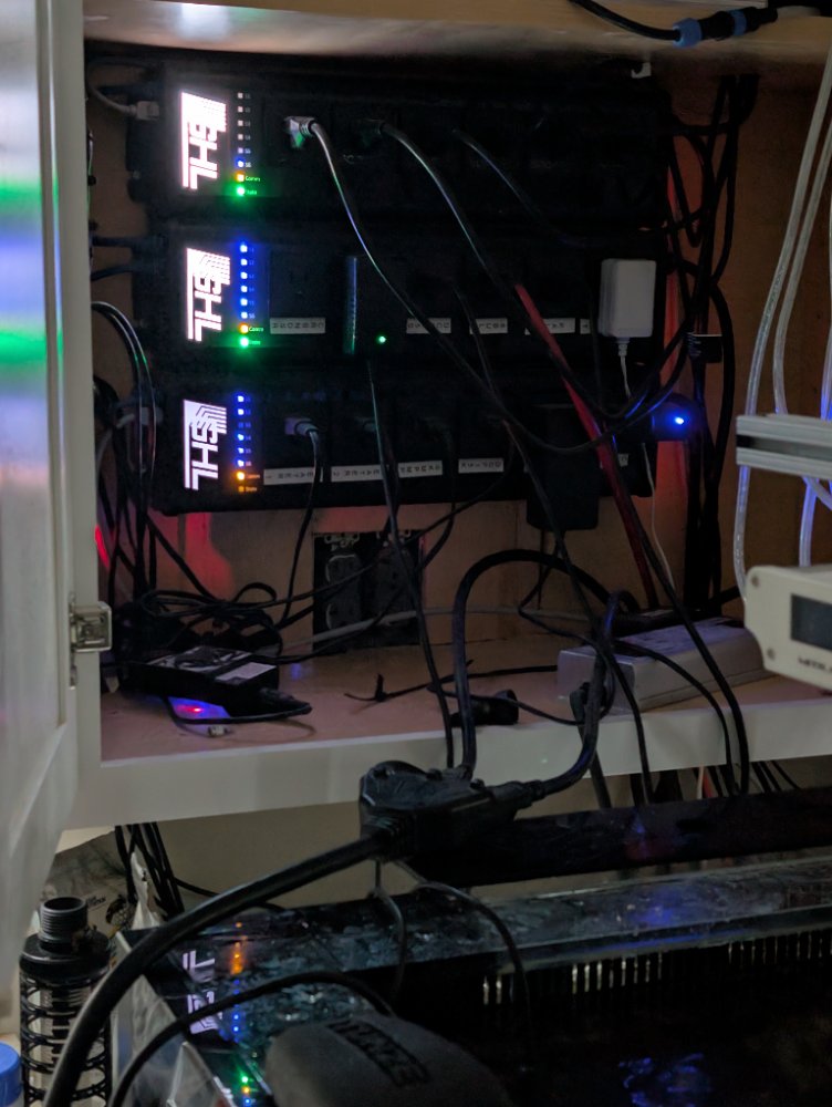 PXL_20250608_094229491.RAW-01.COVER.jpg