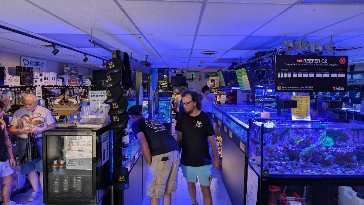 PXL_20250726_180020701.RAW-01.COVER.jpg