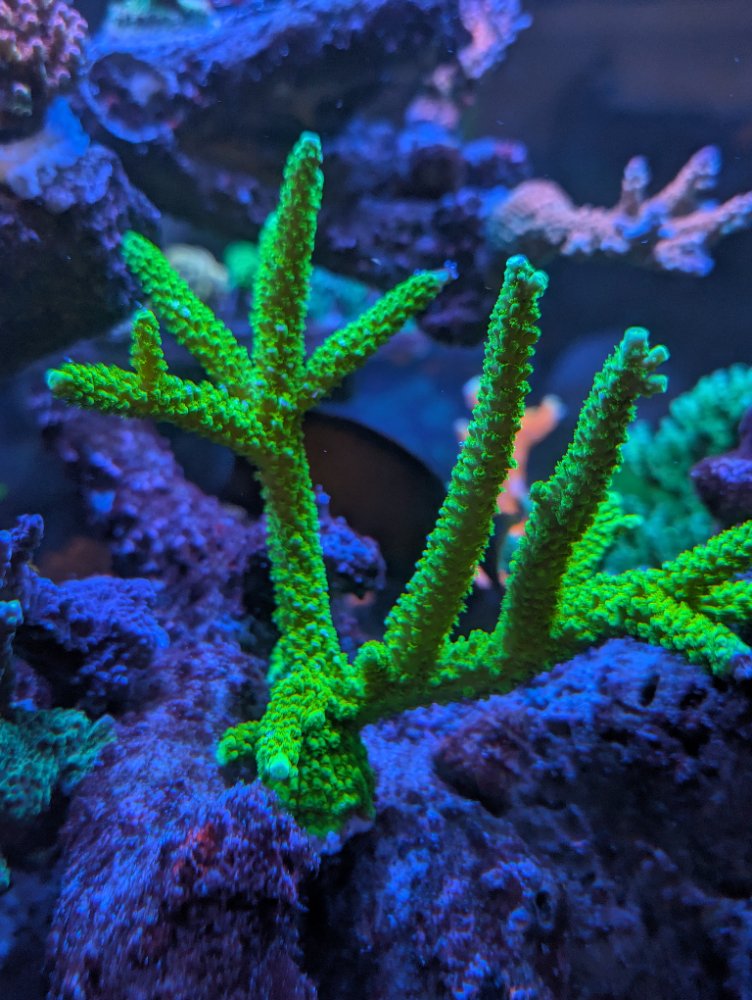 PXL_20251202_020150133.RAW-01.COVER.jpg